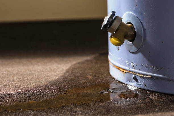 Best Flood damage cleanup  in Madera Ranchos, CA