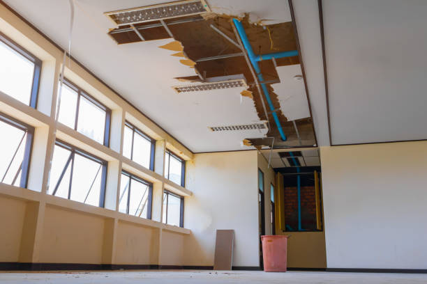 Best Carpet water damage restoration  in Madera Ranchos, CA