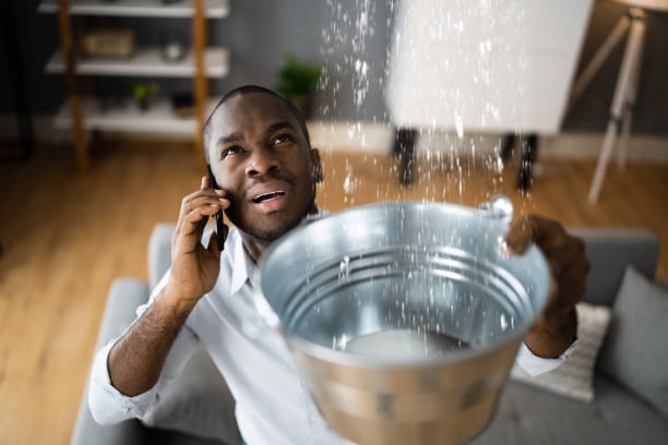 Best Water damage cleanup near me  in Madera Ranchos, CA