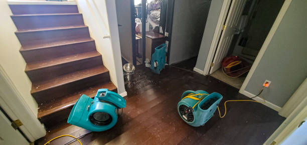 Water damage restoration mold remediation in Madera Ranchos, CA