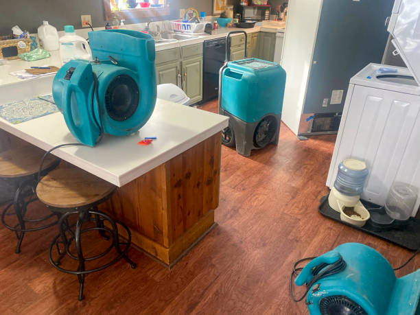 Best Water damage repair service  in Madera Ranchos, CA