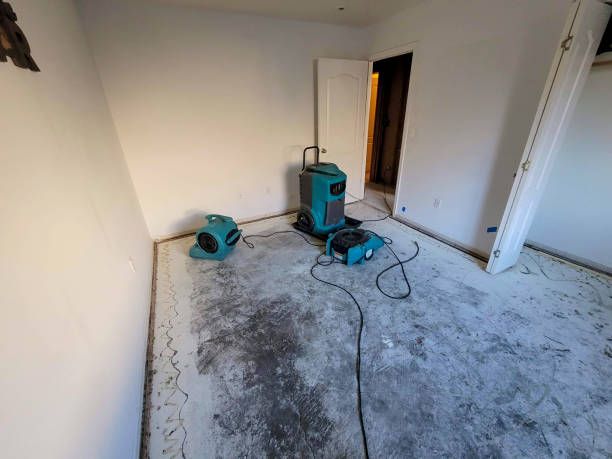 Best Flood damage cleanup  in Madera Ranchos, CA