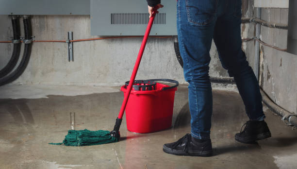 Best Local water damage restoration  in Madera Ranchos, CA