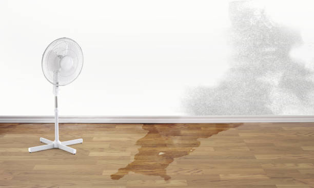 Best Fire Damage Restoration  in Madera Ranchos, CA