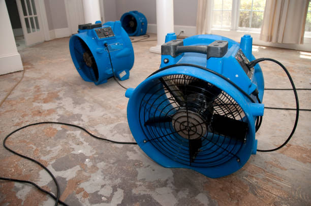 Best Carpet water damage restoration  in Madera Ranchos, CA