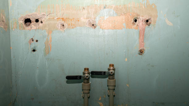 Best Mold removal after water damage  in Madera Ranchos, CA