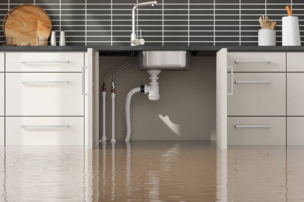 Best Commercial water damage restoration  in Madera Ranchos, CA