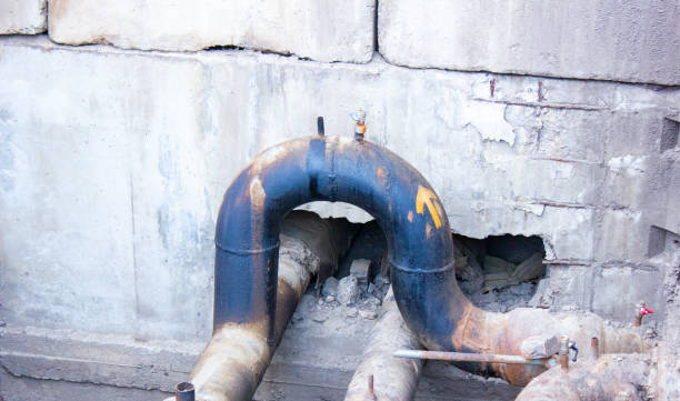 Best Flood restoration services  in Madera Ranchos, CA