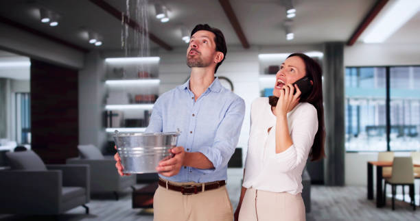 Best Professional water damage repair  in Madera Ranchos, CA