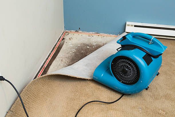 Best Water damage restoration mold remediation  in Madera Ranchos, CA